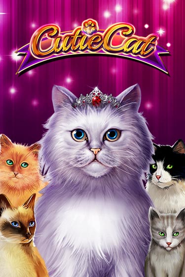Слот Cutie Cat в демо-режиме от Gamomat в Champion Slots Casino